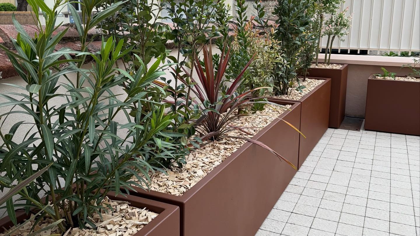 Aménagement de l’entrée et de la terrasse