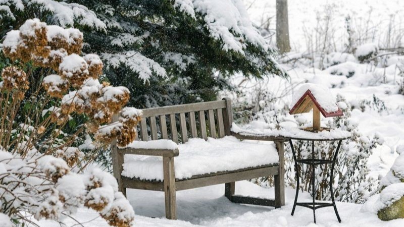 L’hiver pour préparer votre jardin.