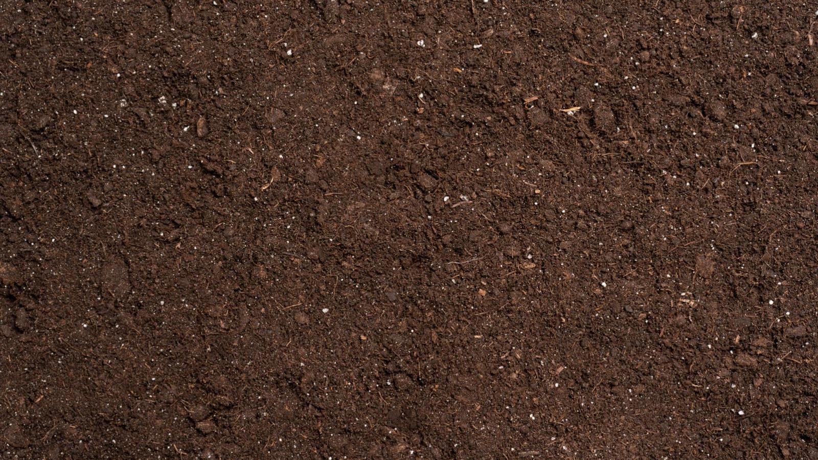 Refaire sa pelouse au printemps