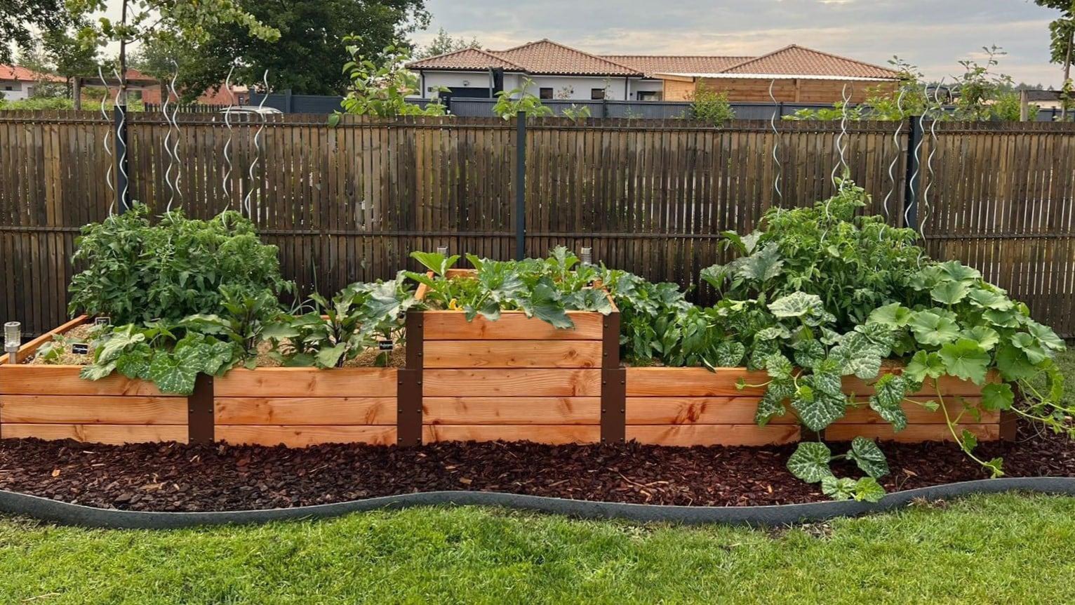 Potager et arrosage automatique