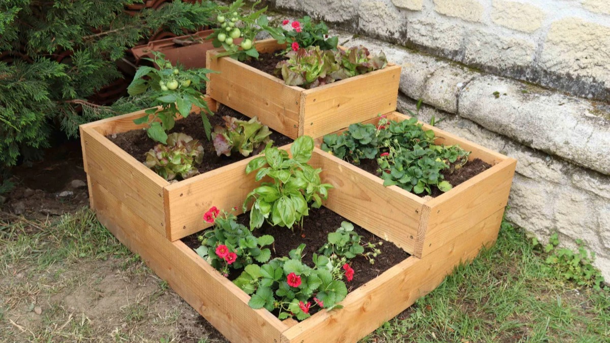 Potager et arrosage automatique